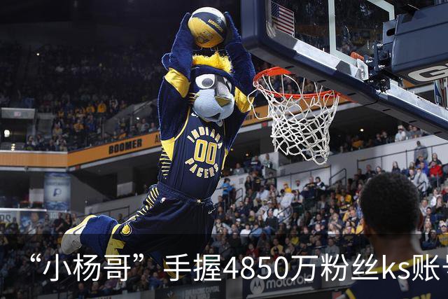 “小杨哥”手握4850万粉丝ks账号，发作品又突然下架！