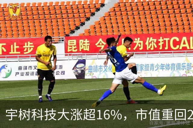 宇树科技大涨超16%，市值重回2000亿