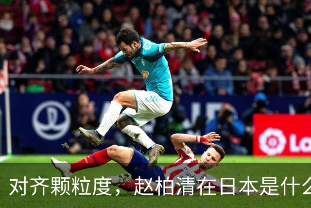 对齐颗粒度，赵柏清在日本是什么水平？