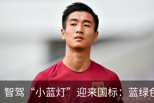 智驾“小蓝灯”迎来国标：蓝绿色只留给L3，文字和表情包出局