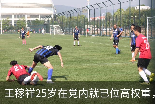 王稼祥25岁在党内就已位高权重，怎么后来地位一路走低，遗憾收场