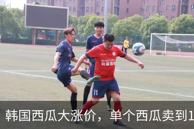 韩国西瓜大涨价，单个西瓜卖到136元