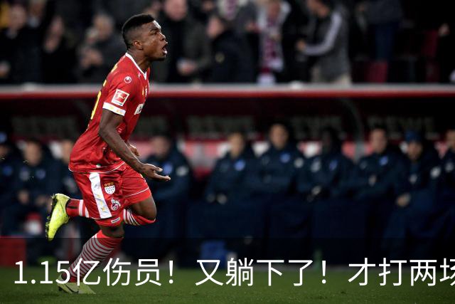 1.15亿伤员！又躺下了！才打两场！猛龙赌输了吗？
