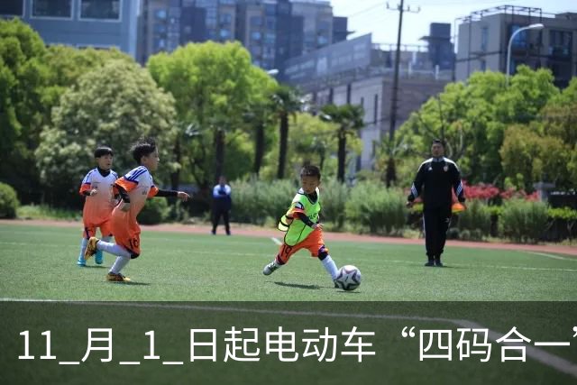 11 月 1 日起电动车“四码合一”，禁售裸车！以后换电池该怎么办？