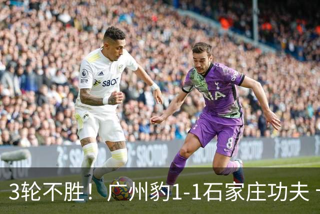 3轮不胜！广州豹1-1石家庄功夫 卡马拉破门多米尼克替补扳平